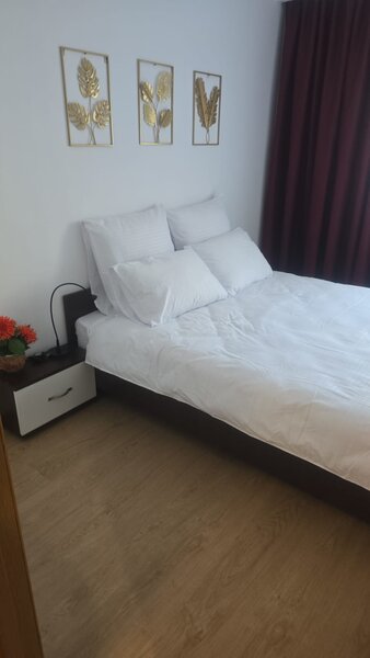 Campia Libertatii - Intrarea Patinuarului